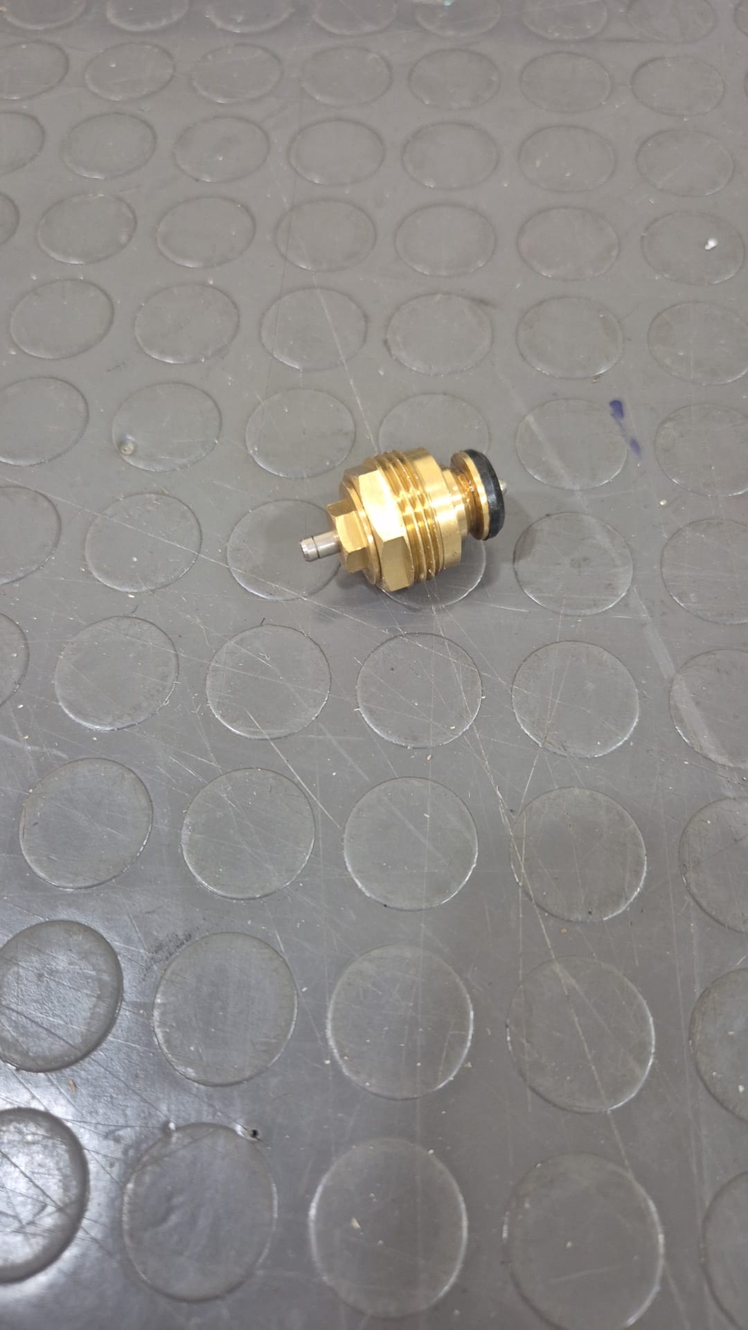 İnsört (Çekirdek)